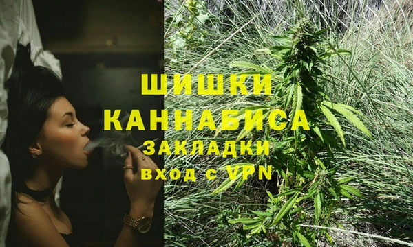 гашик Алзамай