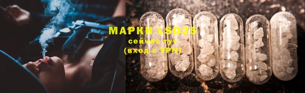 гашик Алзамай