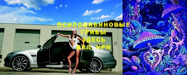 гашик Алзамай