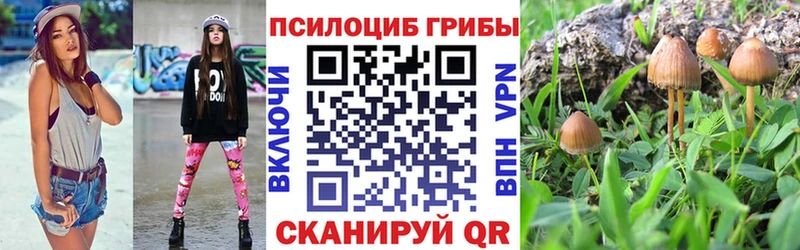 Псилоцибиновые грибы Psilocybe Перевоз